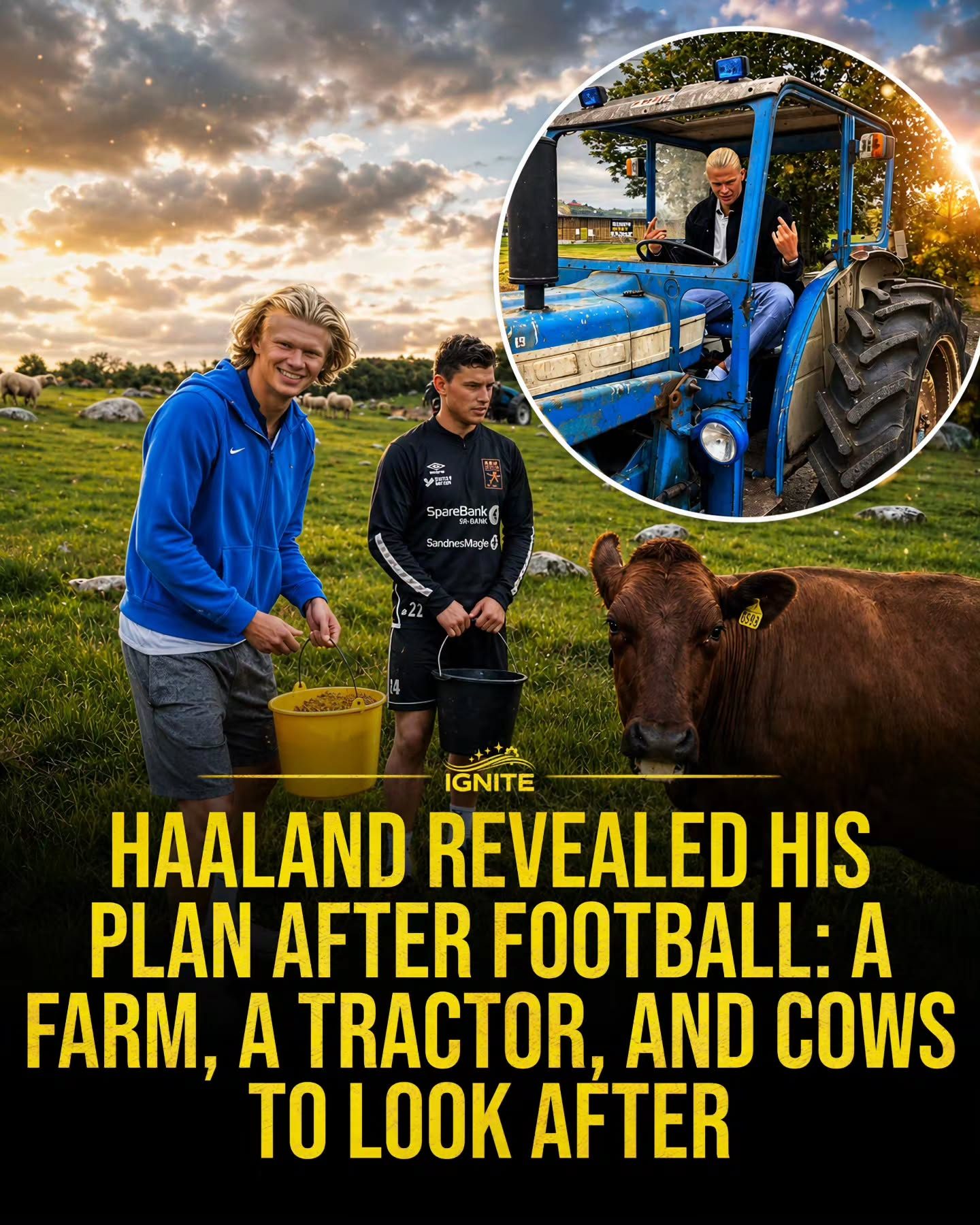 Erling Haaland's Post-Football Life: Farms and Tractors