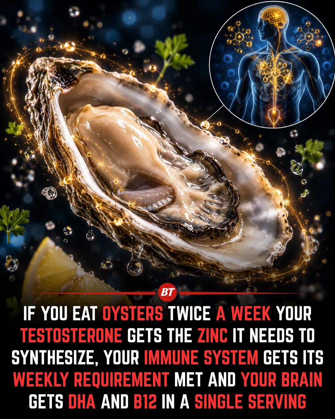 Eating Oysters: Boost Testosterone, Immune System, and Brain Health