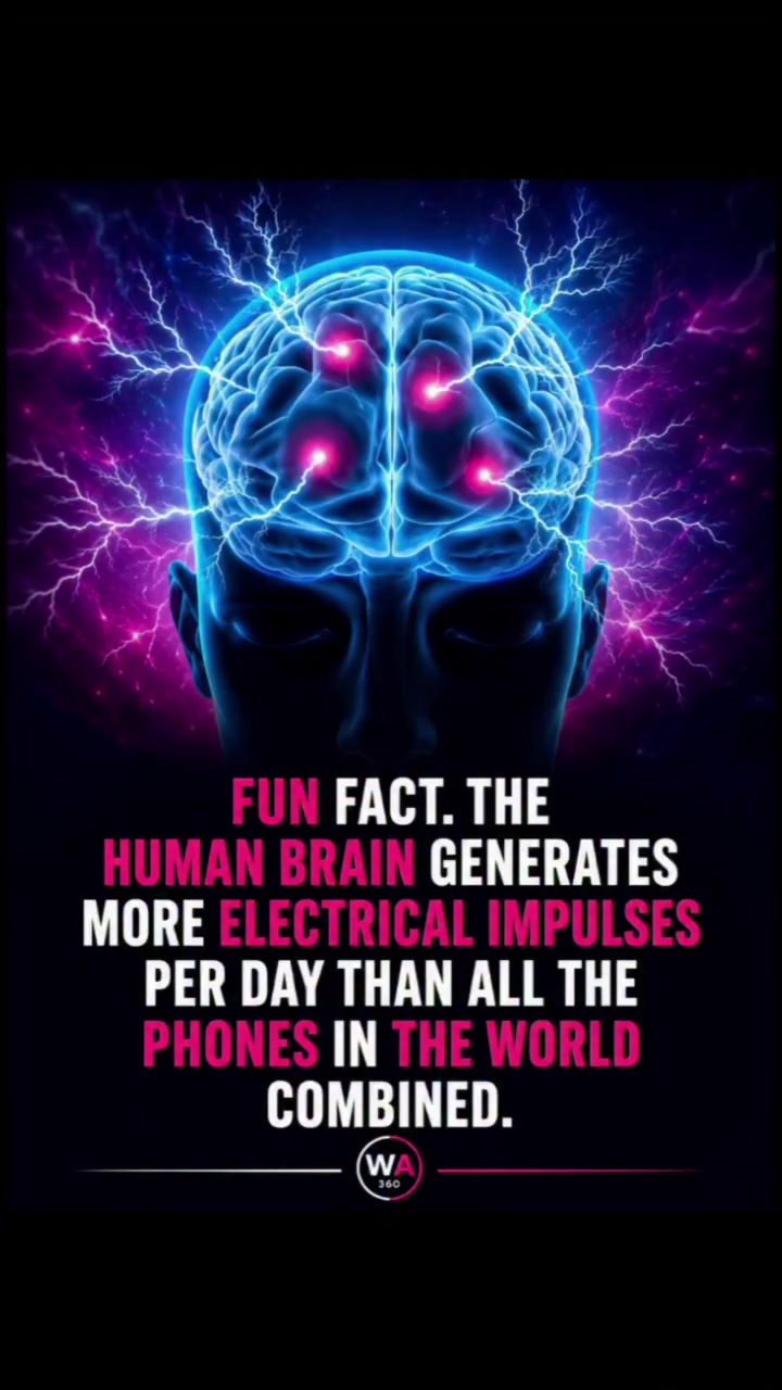 The Brain's Electrical Activity: A Supercomputer