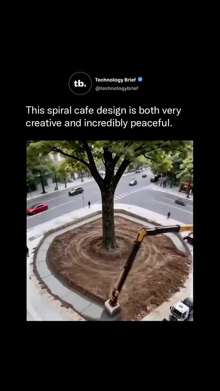 Spiral Cafe’s Unique Tree-Integrated Design