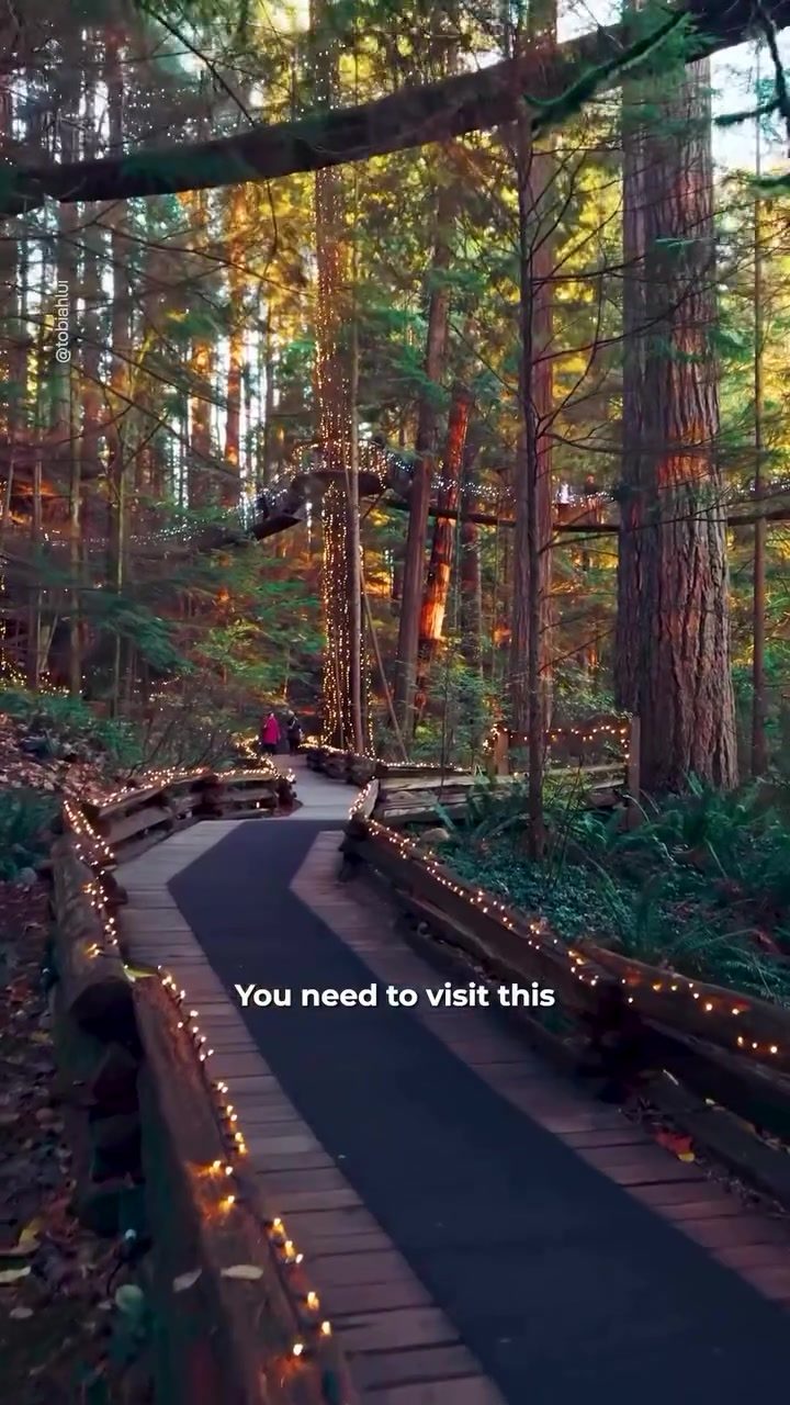 Explore Vancouver's Winter Wonderland: Capilano Bridge Lights