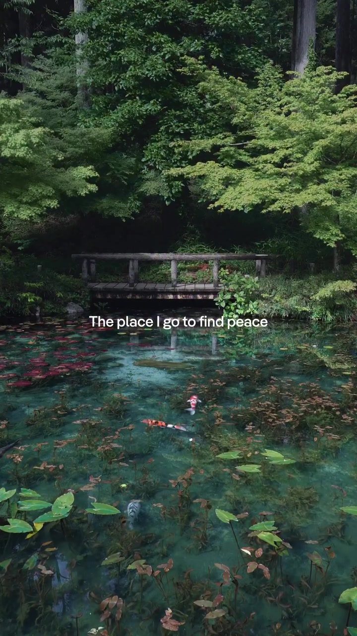 Discover Monet's Pond: Japan's Hidden Natural Gem