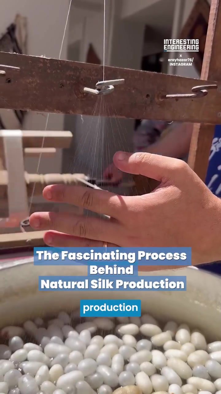 Silkworm Cocoons to Luxurious Silk: The Traditional Process