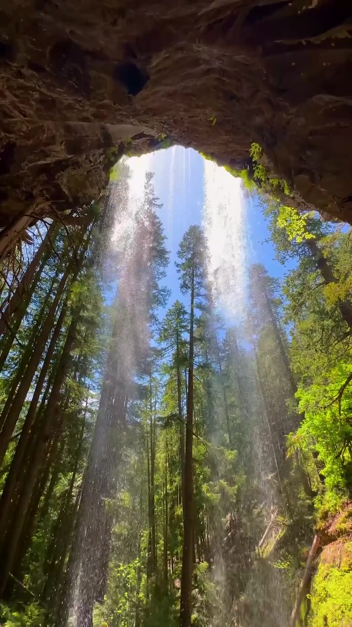 Waterfall View Through Forest Canopy
