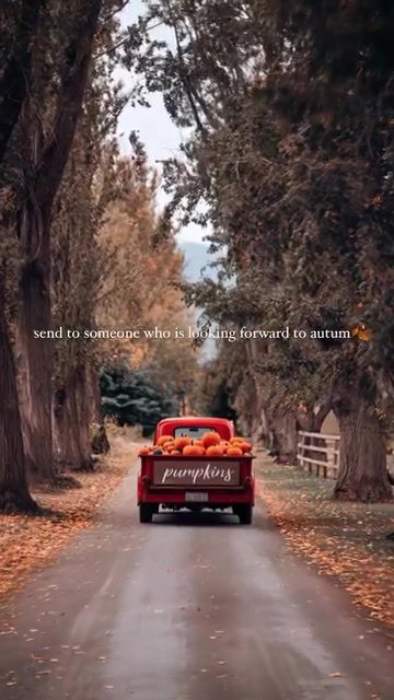 Autumnal Road Trip: Pumpkins, Leaves, and Cozy Vibe