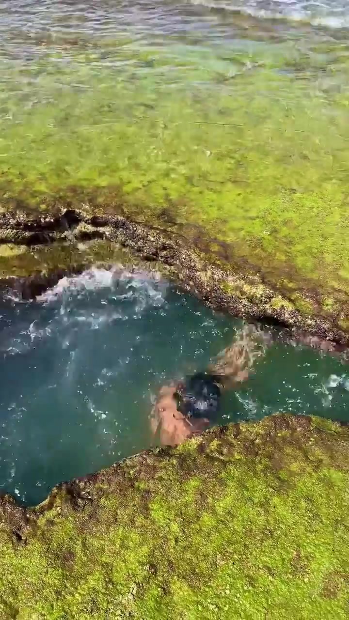 Barra do Cunhaú Brazil Ocean Swimming