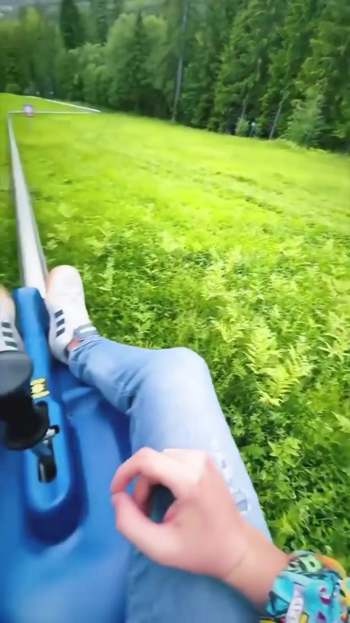 Alpine Coaster Ride: First-Person Mountain Experience