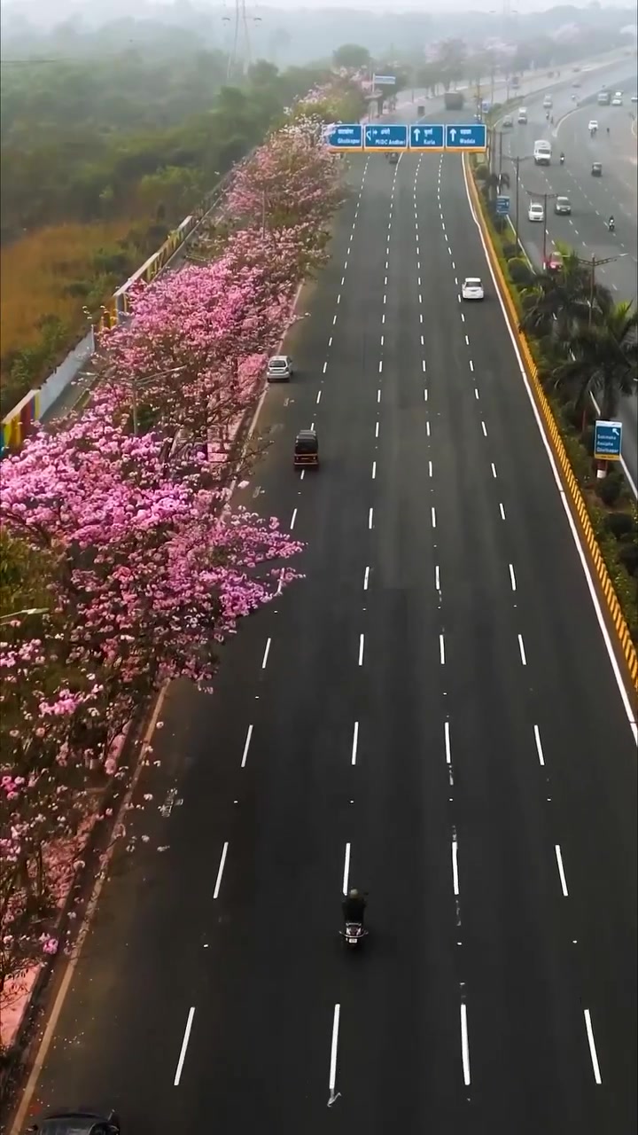 Aerial View of Highway with Pink Flowers