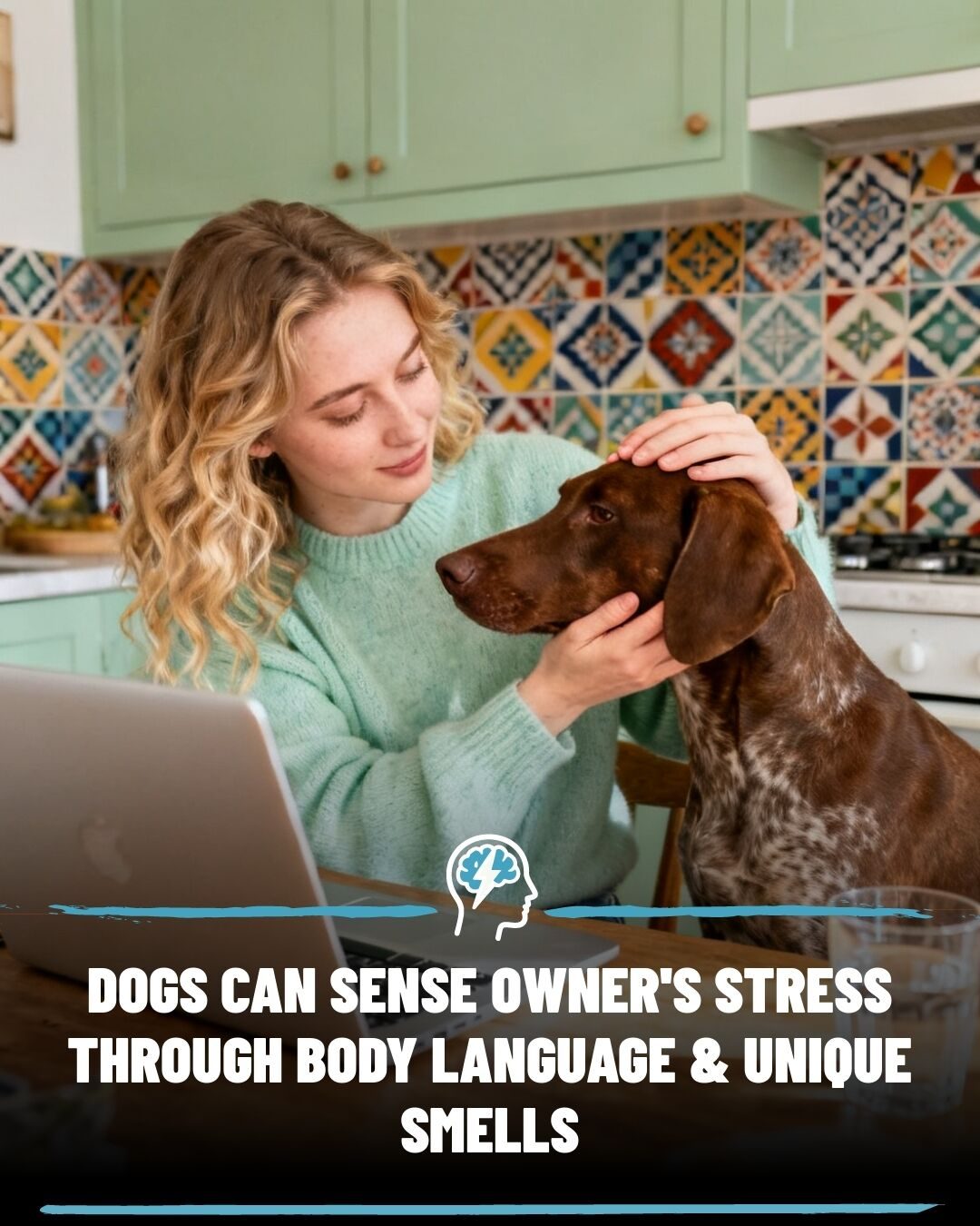 How Dogs Detect Human Stress Through Scent and Body Language