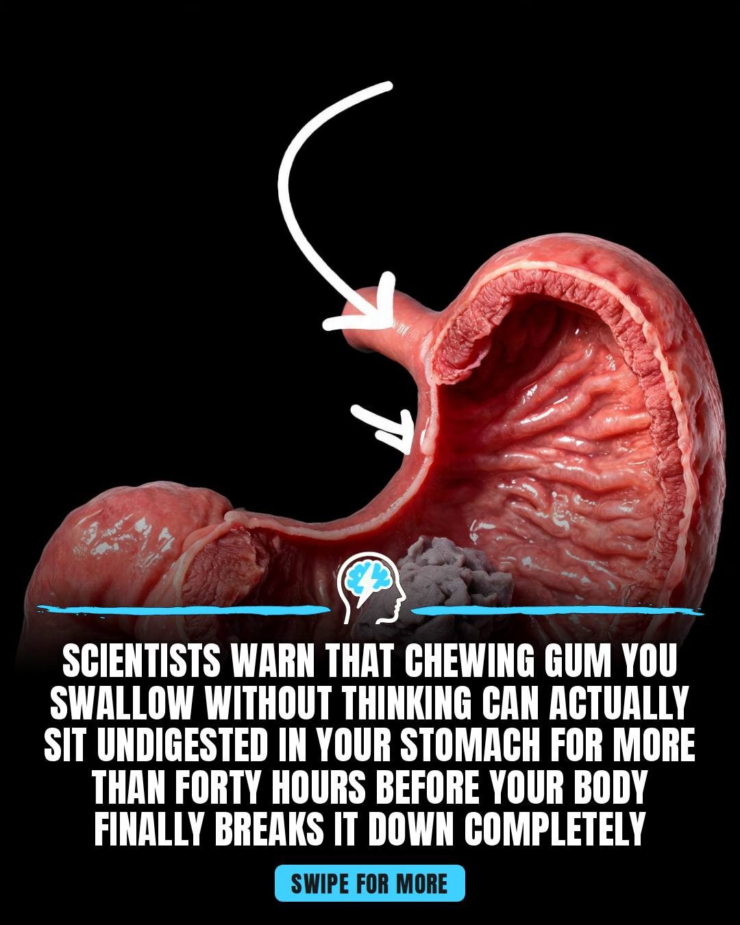 Digestion Times For Common Foods