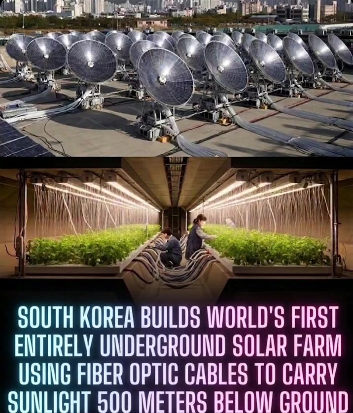 South Korea's Innovative Underground Solar Farm