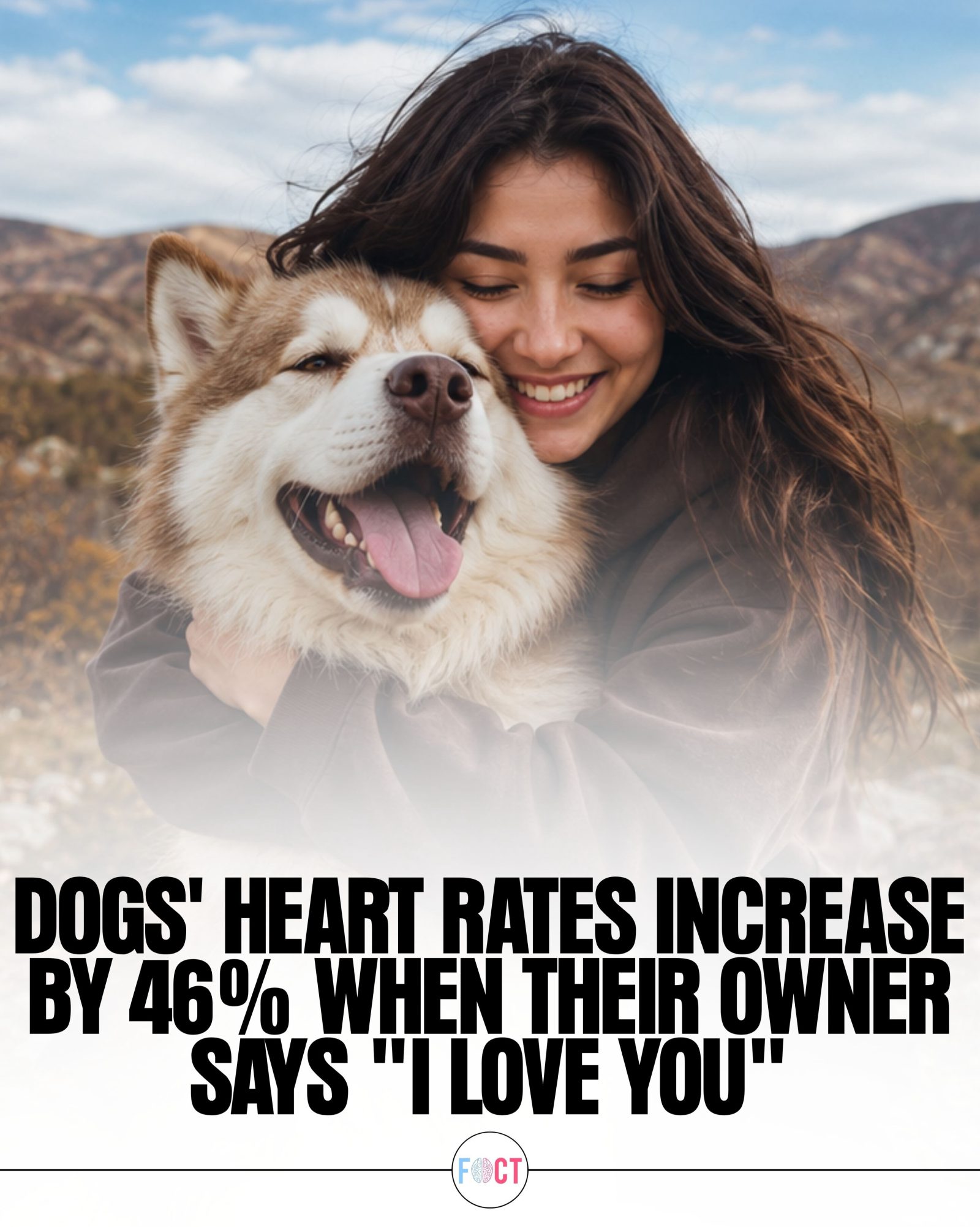 How owners affect dogs' heart rates