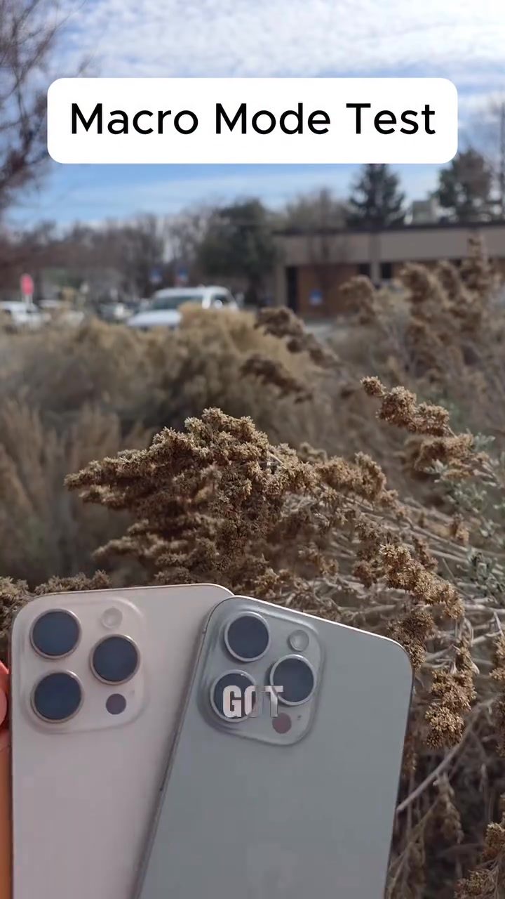 Ultimate iPhone Macro Mode Comparison: iPhone 15, 16, 17 Pro Max