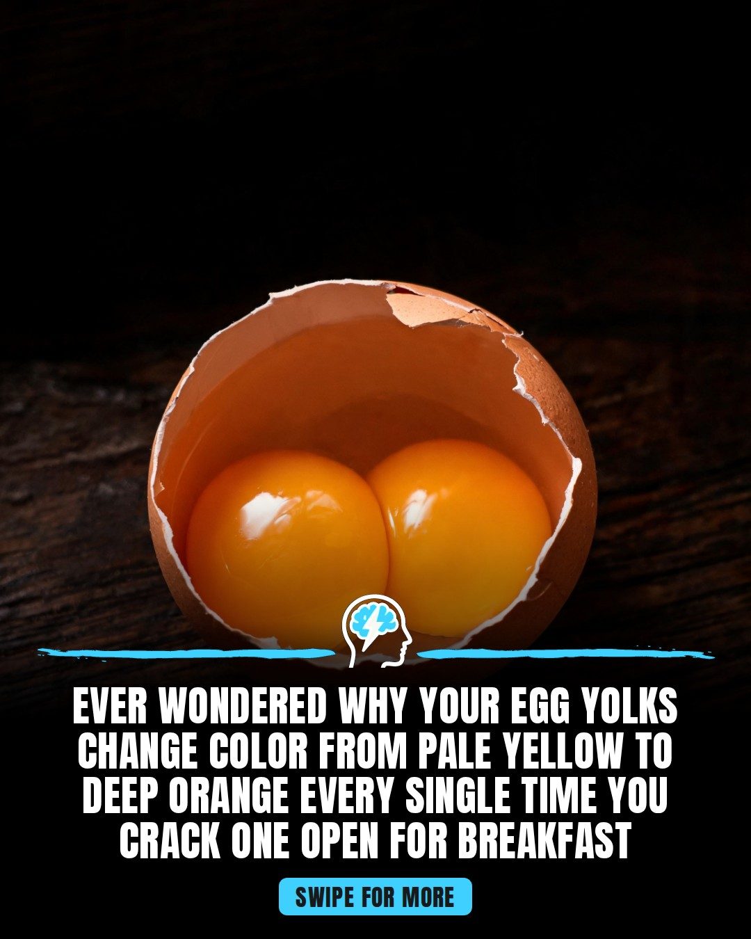 Egg Yolk Color: Why It Varies and What It Means