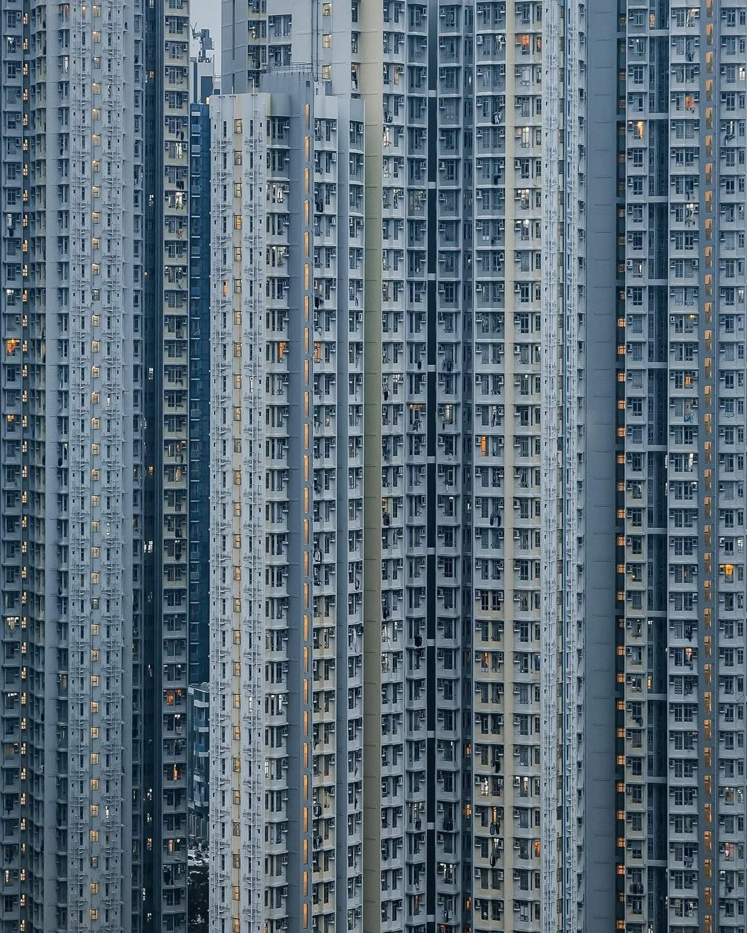 Urban Landscape of Hong Kong's Concrete Metropolis
