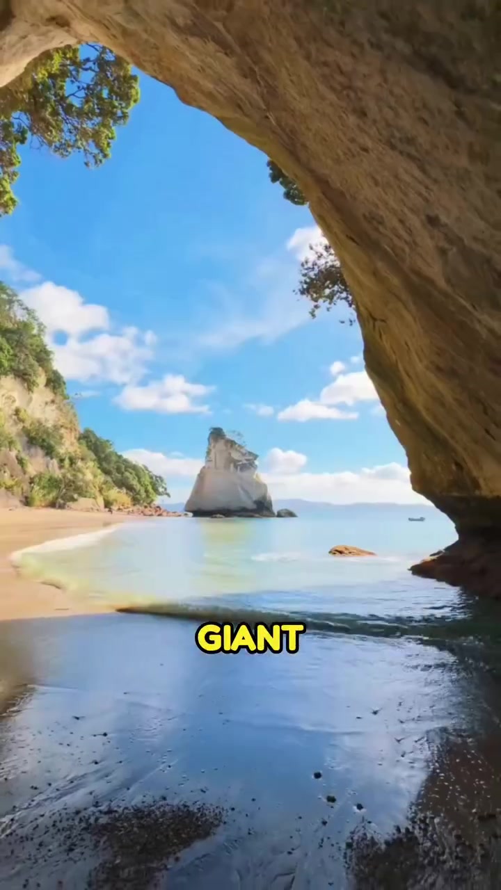 Cathedral Cove: New Zealand's Natural Archway
