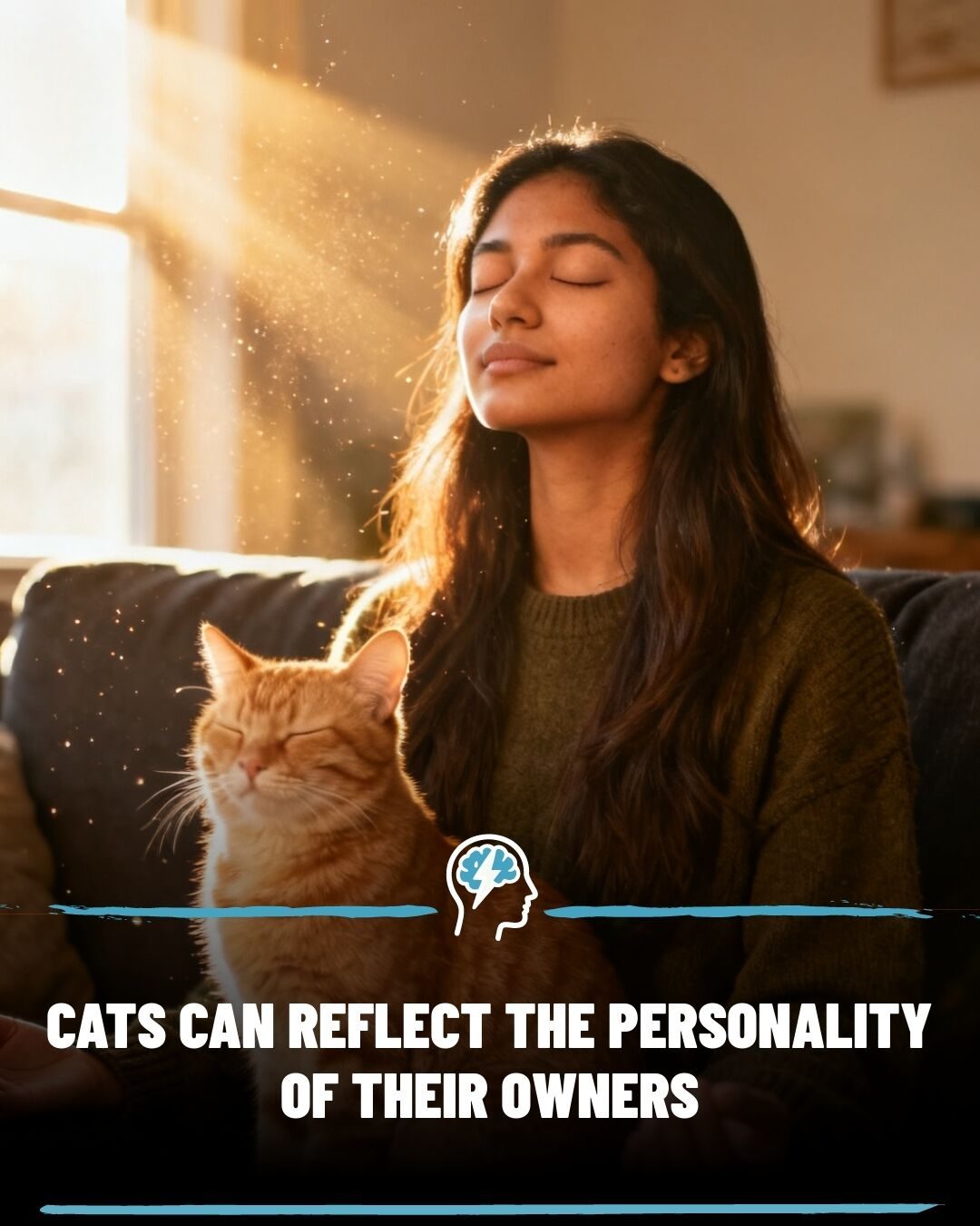How Your Cat's Behavior Mirrors Your Personality