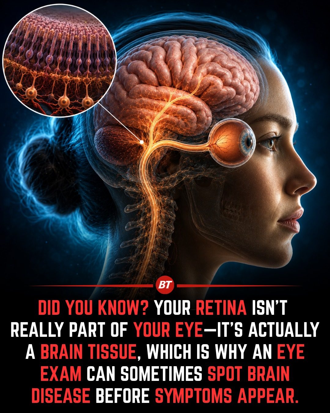Why Eye Exams Can Detect Early Signs of Brain Disease