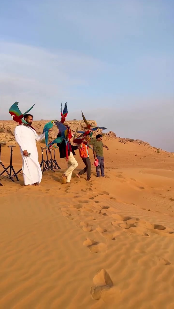 Desert Kite Flying: A Cultural Outdoor Recreation