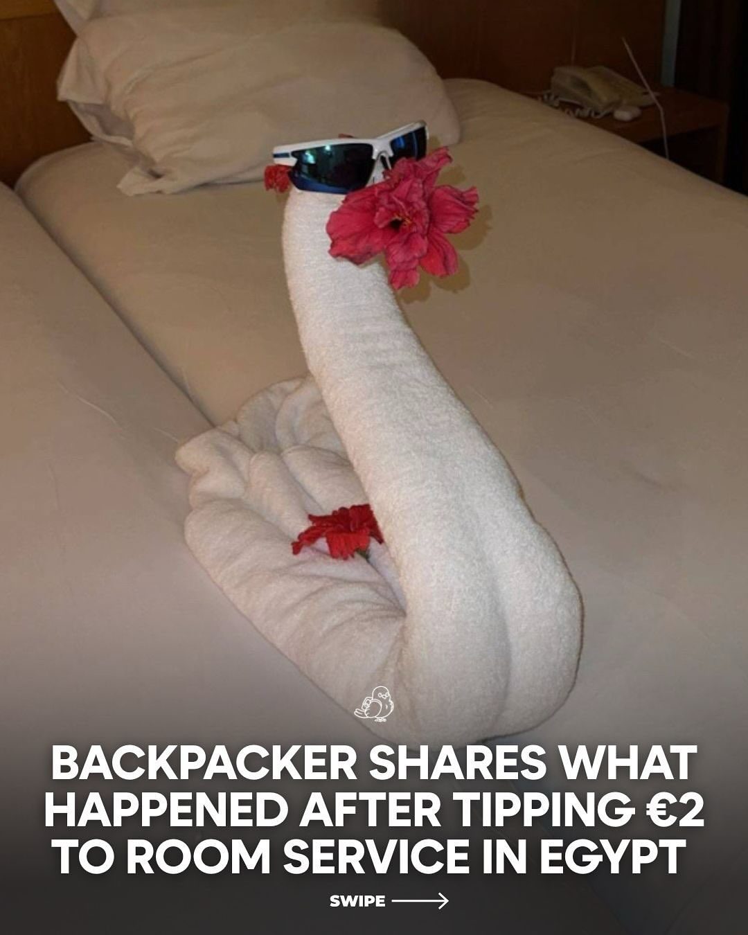 Hotel Towel Animals: A Backpacker's Guide to Room Service Creativity