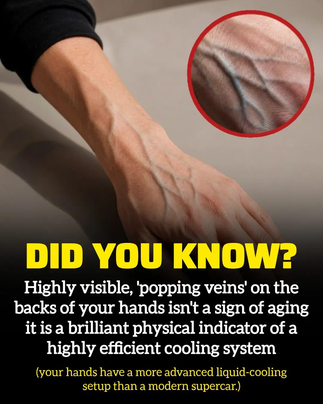 Popping Veins: Your Body's Built-in Cooling System