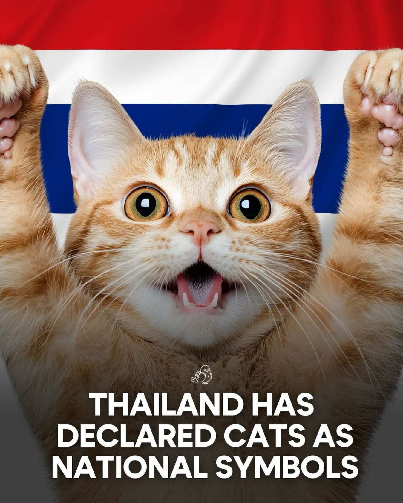 Thailand Honors Cats as National Symbols: Culture and Conservation