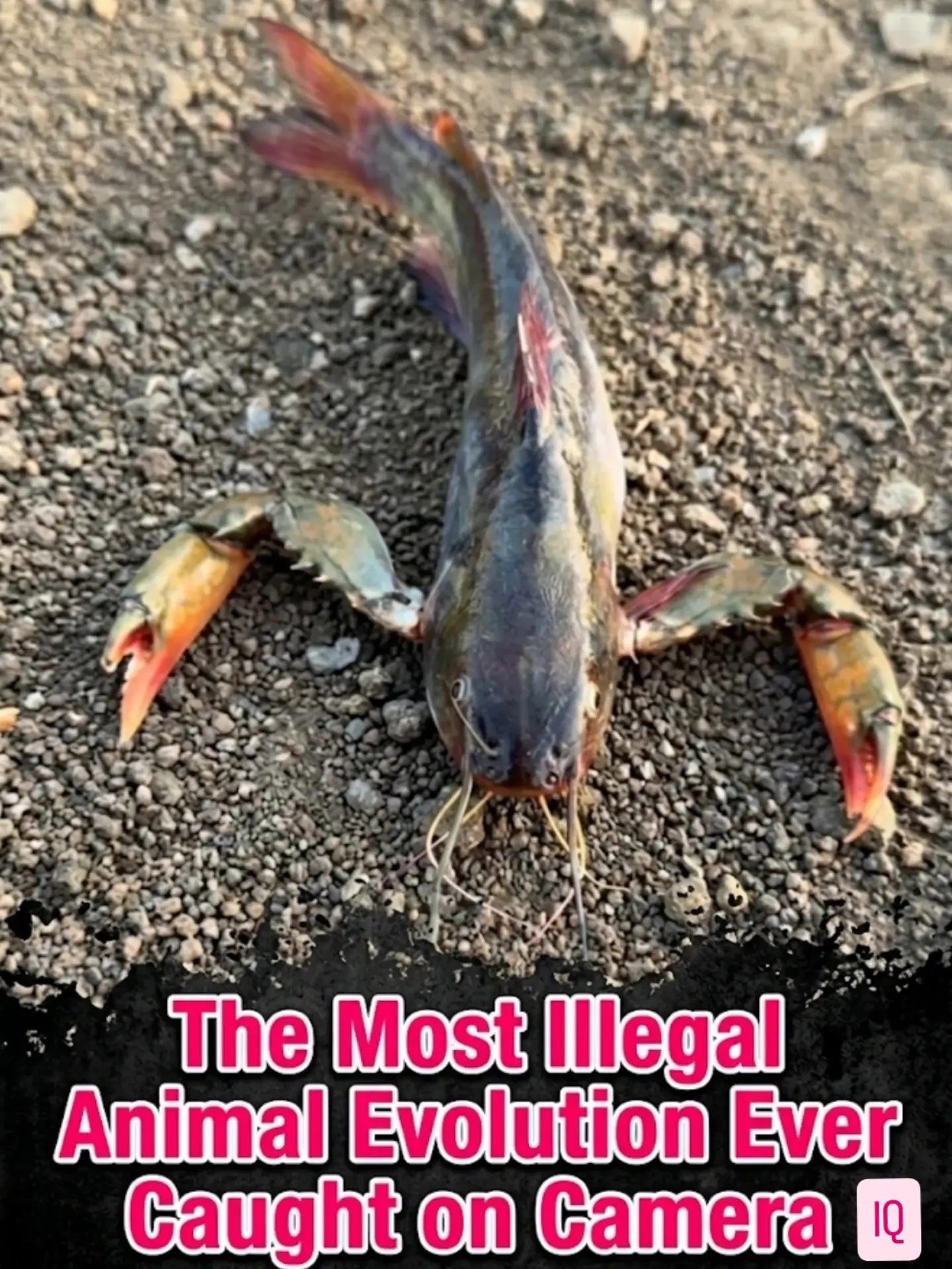 Debunking the "Franken-fish" Hoax: What You Need to Know