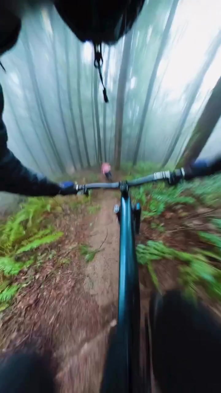 Mountain Biking: Forest Trail First-Person View