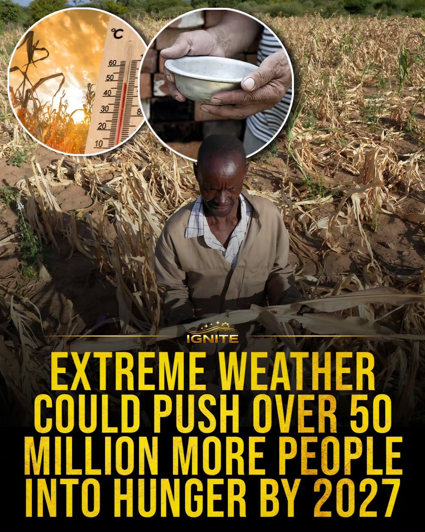 El Niño Alert: Extreme Weather Threatens Global Hunger