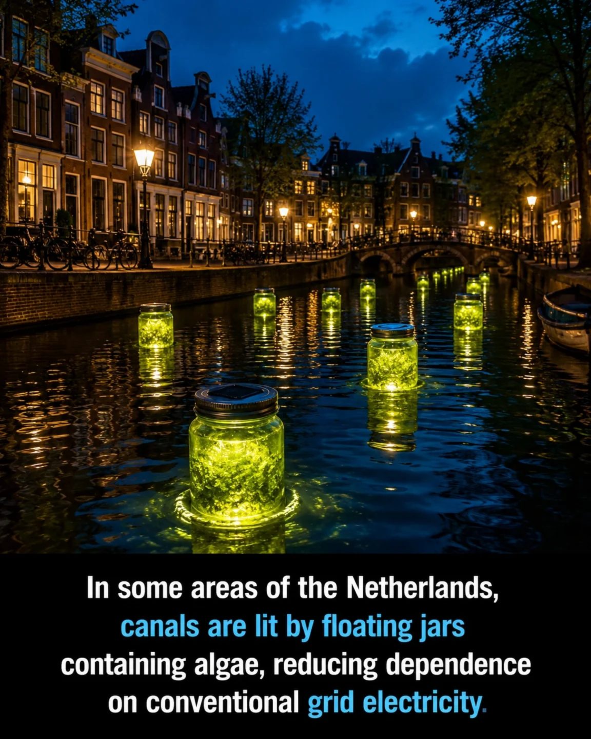 Innovative Netherlands: Algae-Lit Canals Provide Green Glow