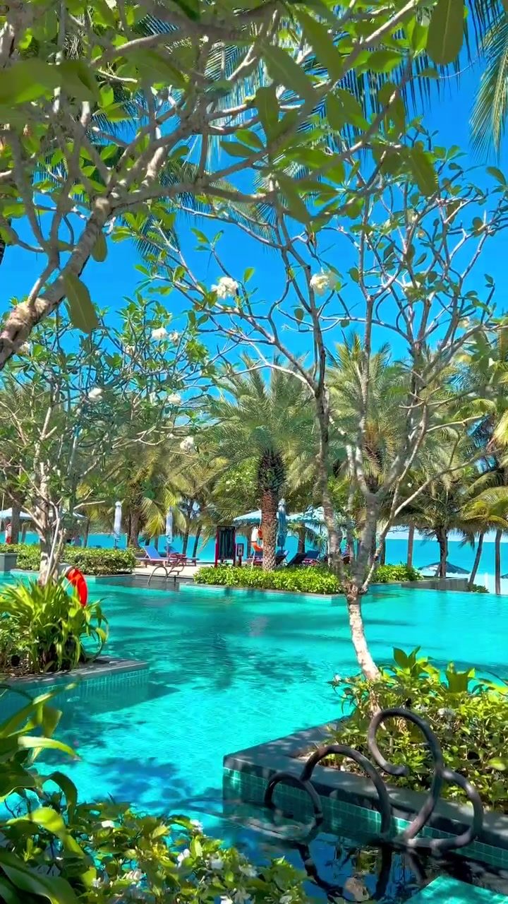Relaxing Oasis: JW Marriott Phu Quoc's Tropical Pool Haven