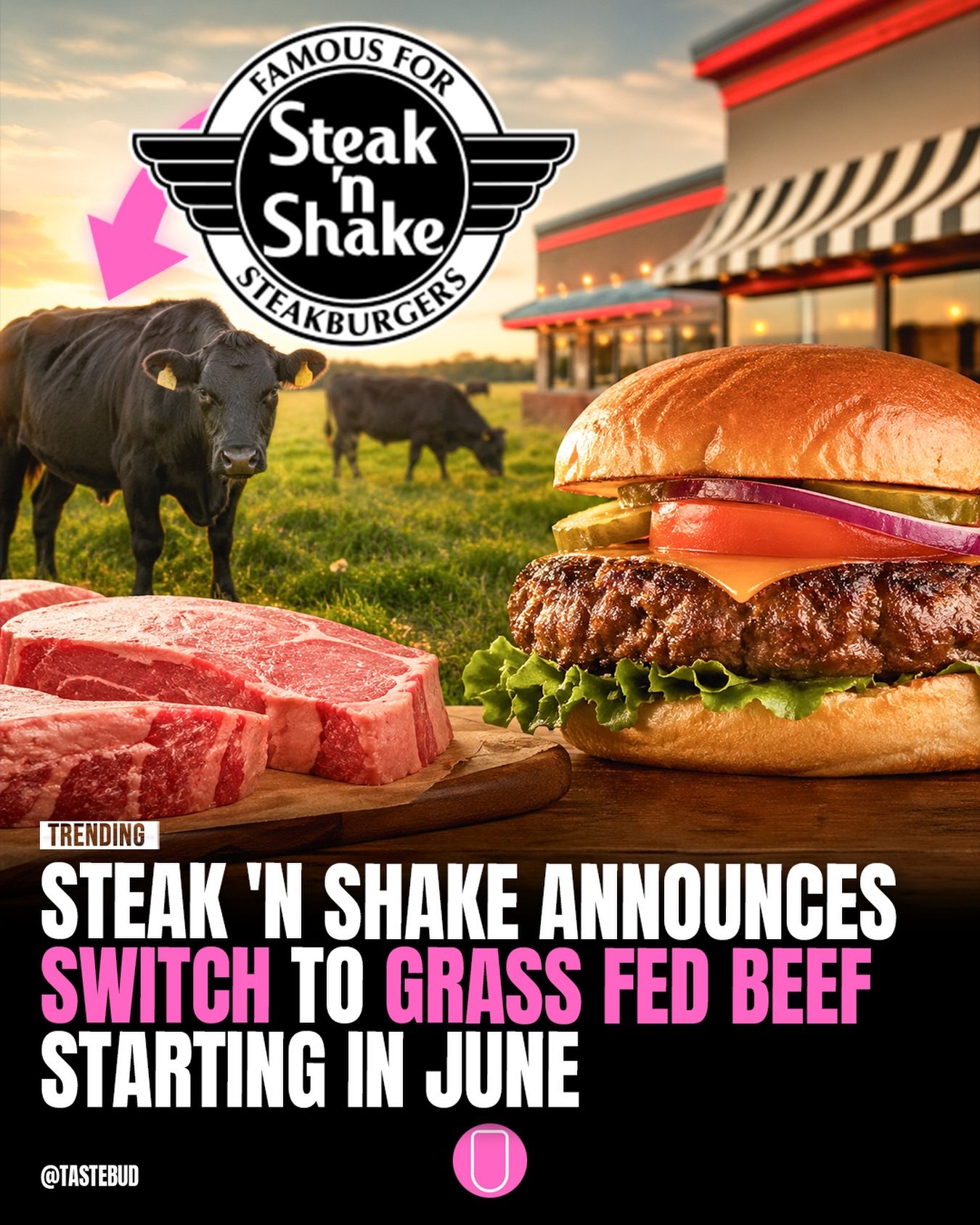 Steak 'n Shake Switches to Grass-Fed Beef in 2026