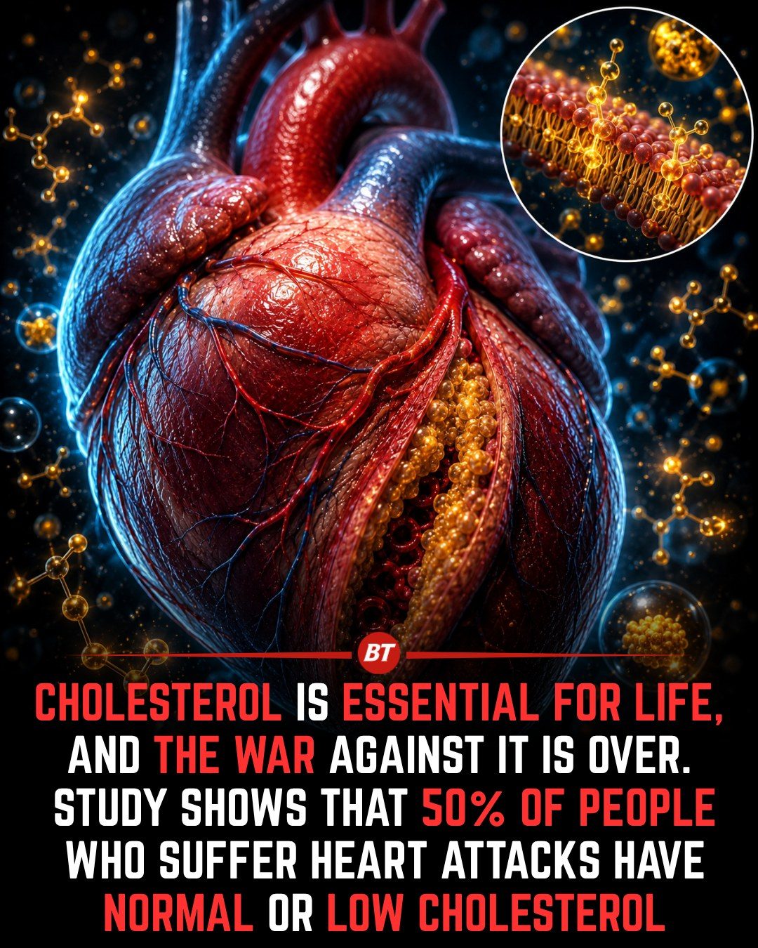 Cholesterol's Role in Health: Beyond Heart Attacks