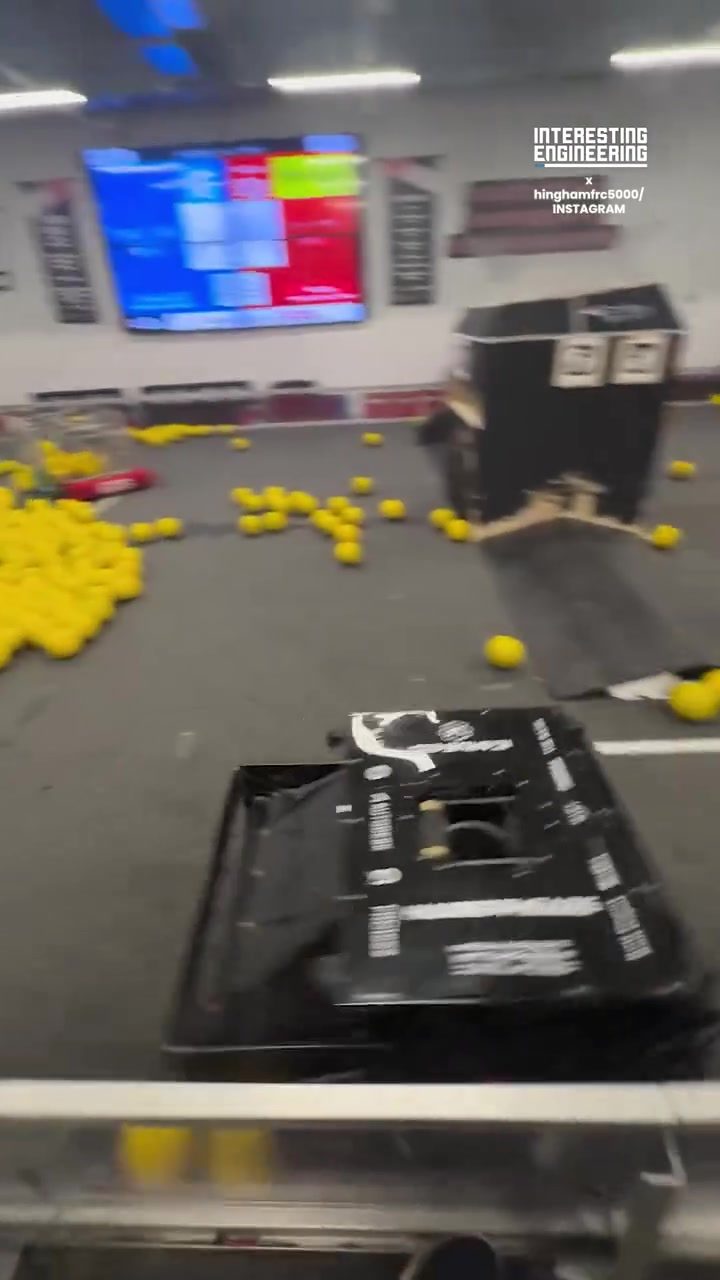 Hammerhead Robot Shines in Competitive Battle Arena