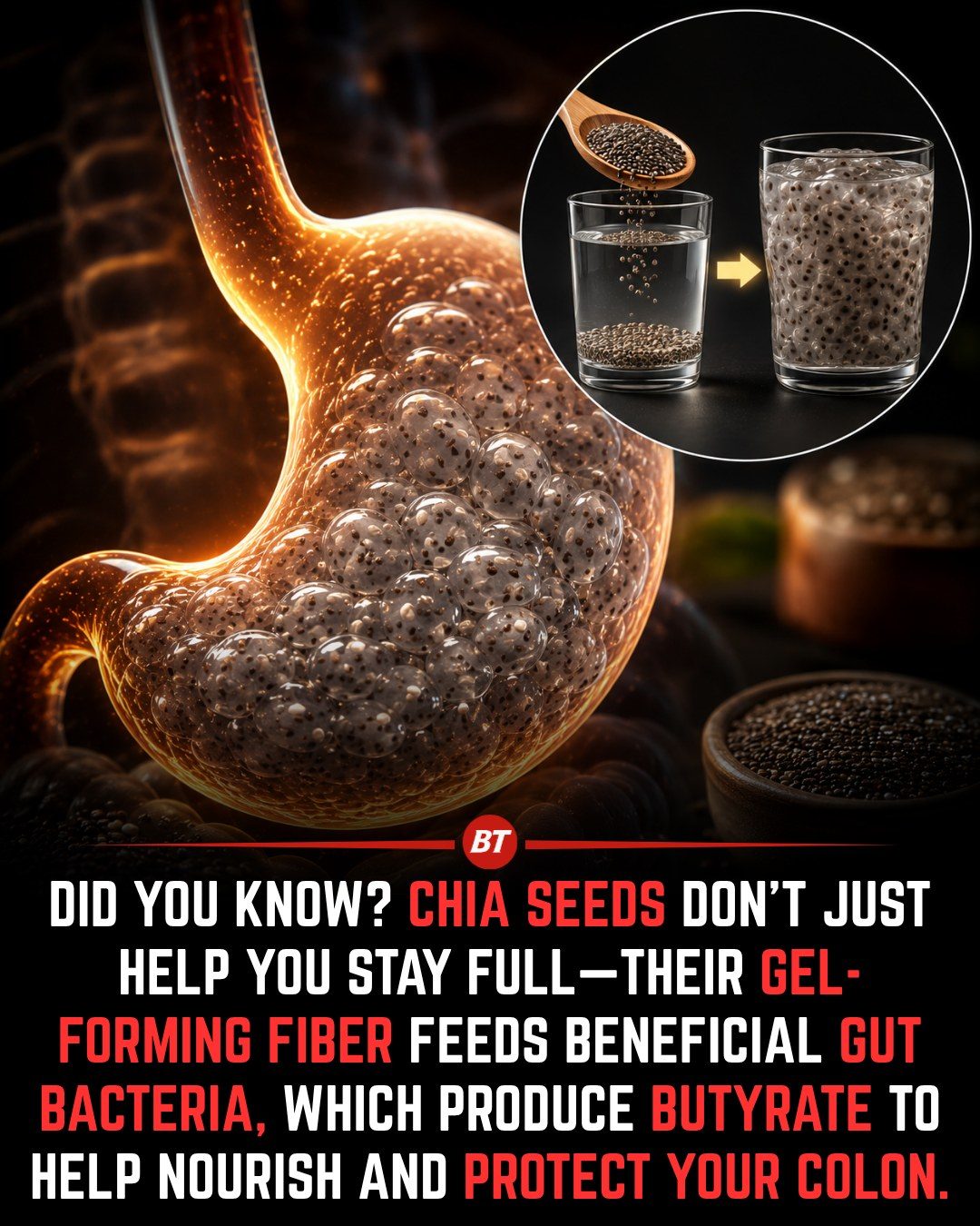 Chia Seeds' Gut-Feeding Gel: Boost Colon Health with Butyrate