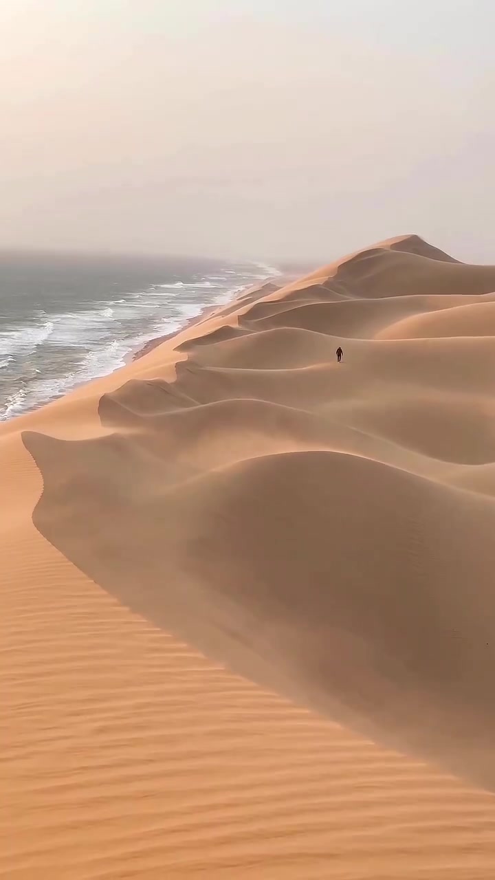 Desert Landscapes and African Wildlife Scenes