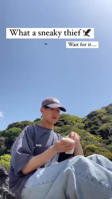 Bird Snatches Snack: Backpacker's Surprise Encounter