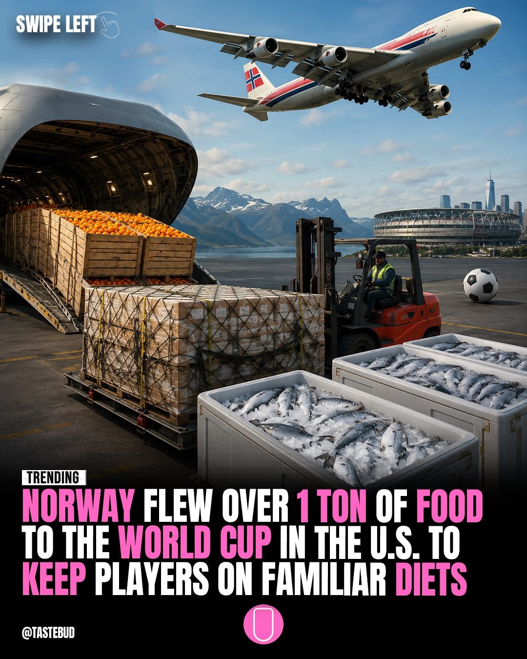 Norway's World Cup Diet Secret: Over a Ton of Food Shipped from Home