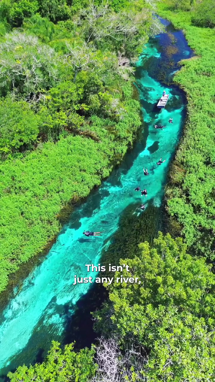 Sucuriú River Brazil's Clear Waters and Wildlife