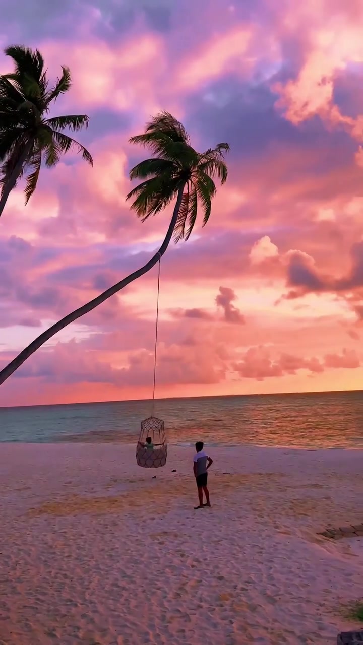 Beach Sunset Swing: Palm Tree Fun