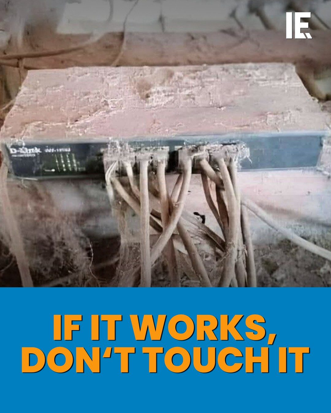 Gardening 101: The Resilience of DIY Root Systems