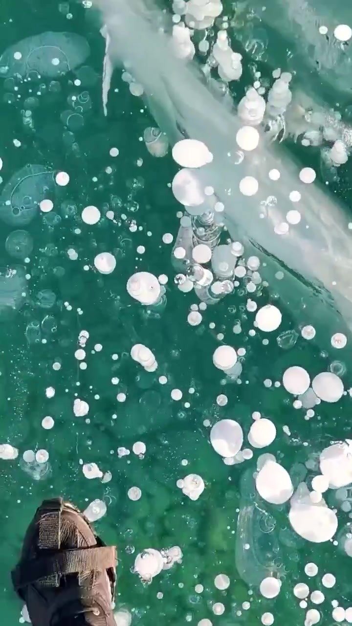 Abraham Lake's Frozen Bubbles: Canada's Winter Wonder