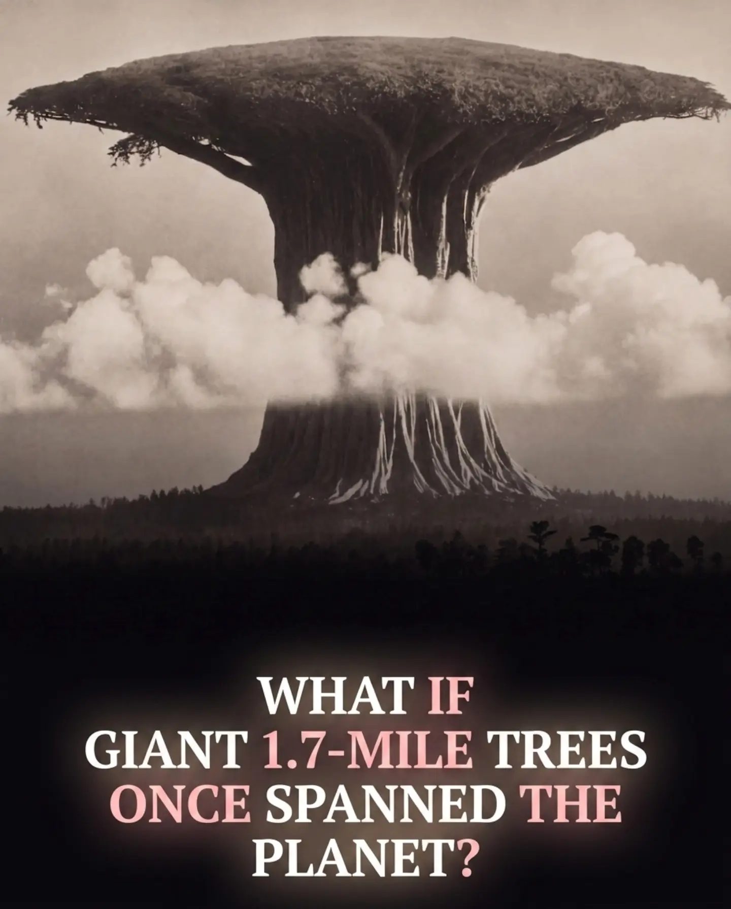 The Ancient Mystery of Giant Trees