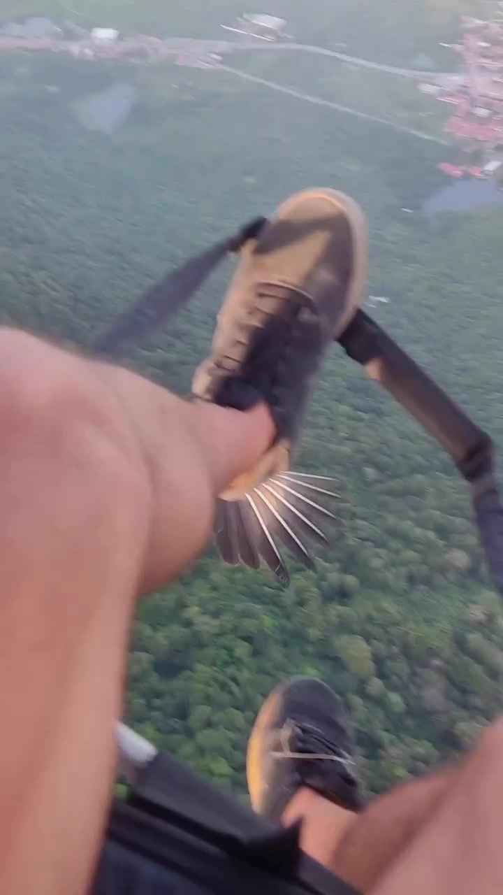 Bird of Prey Flight: First-Person Perspective