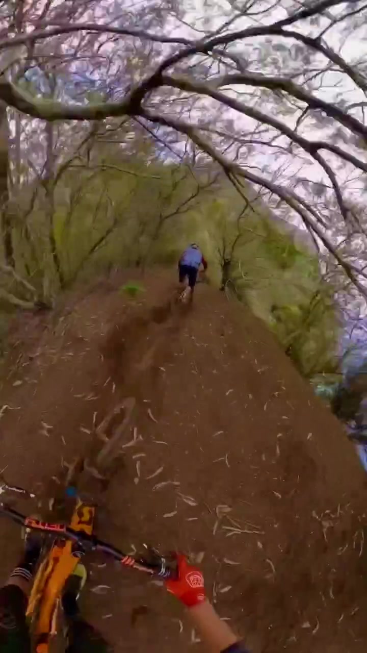 Mountain Biking Descent: First-Person Thrill