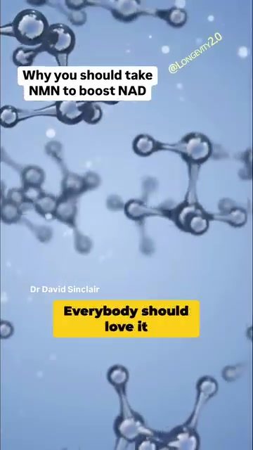How NMN Can Boost NAD Levels and Support Healthy Aging