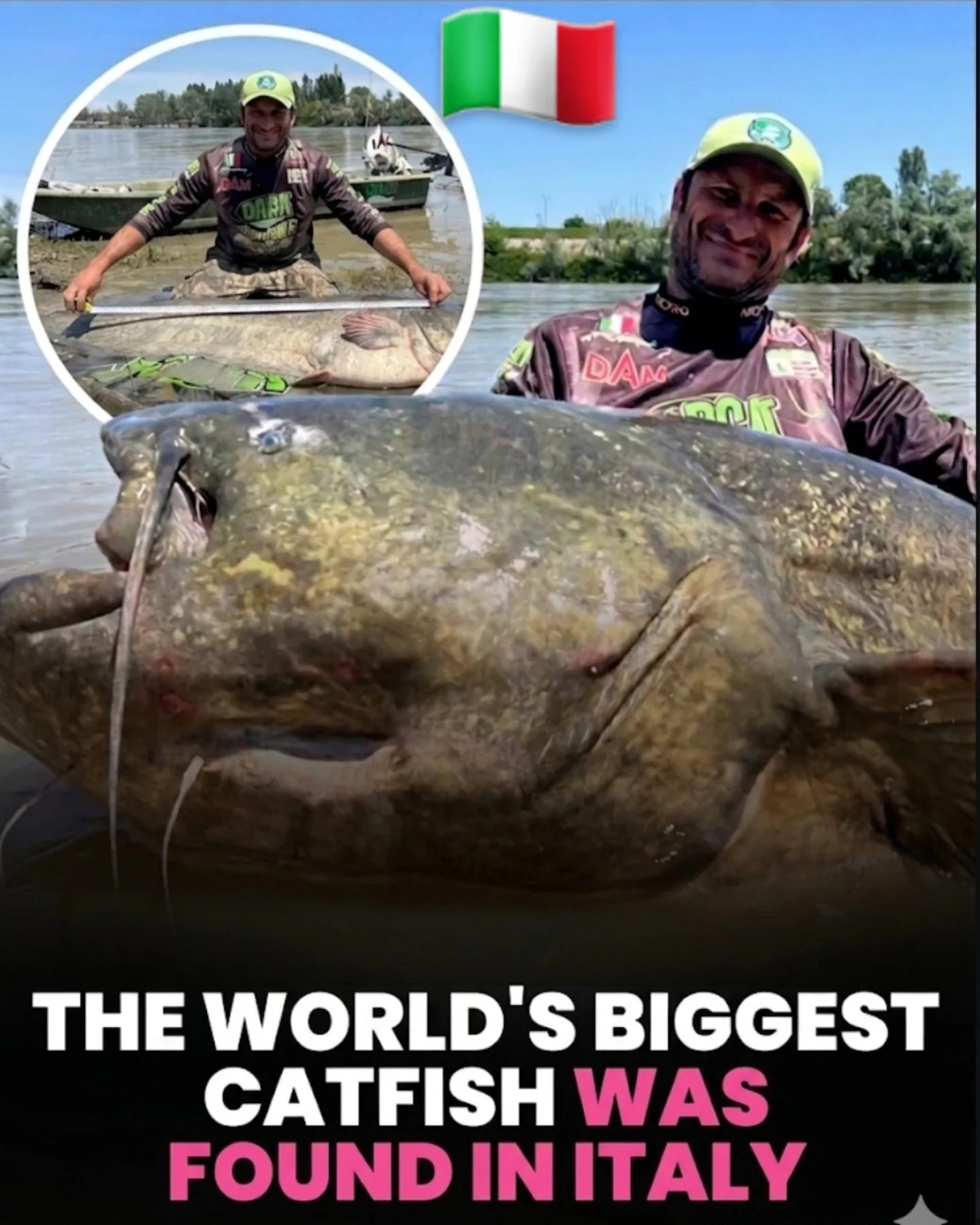 Monster Wels Catfish Catch in Italy's Po River