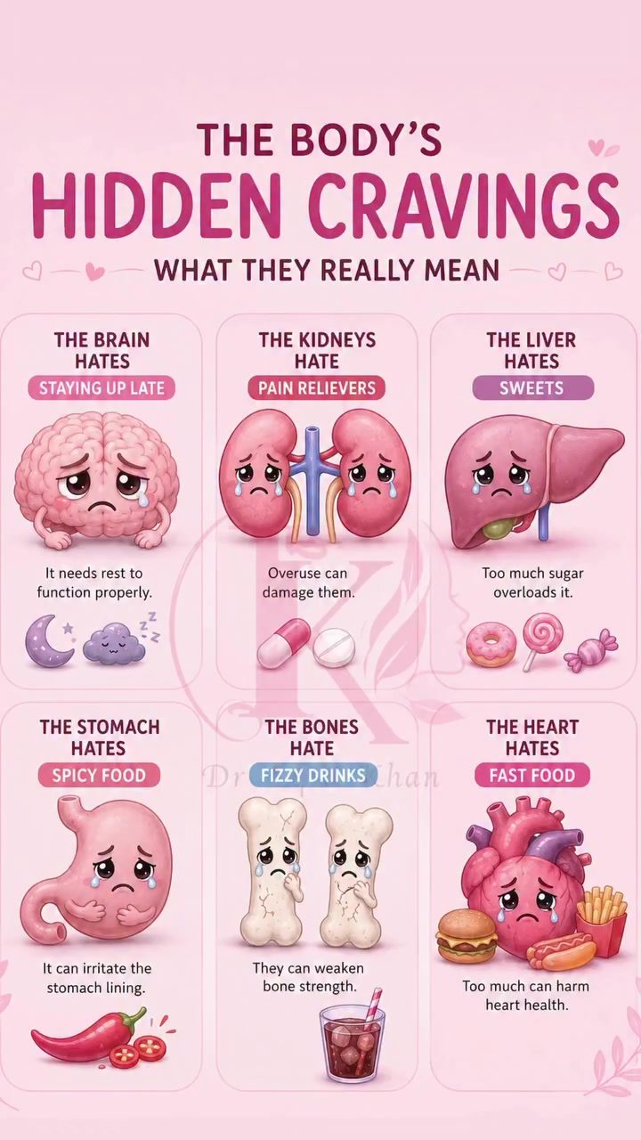 Your Body's Silent Signals: What Organs Crave and Dislike
