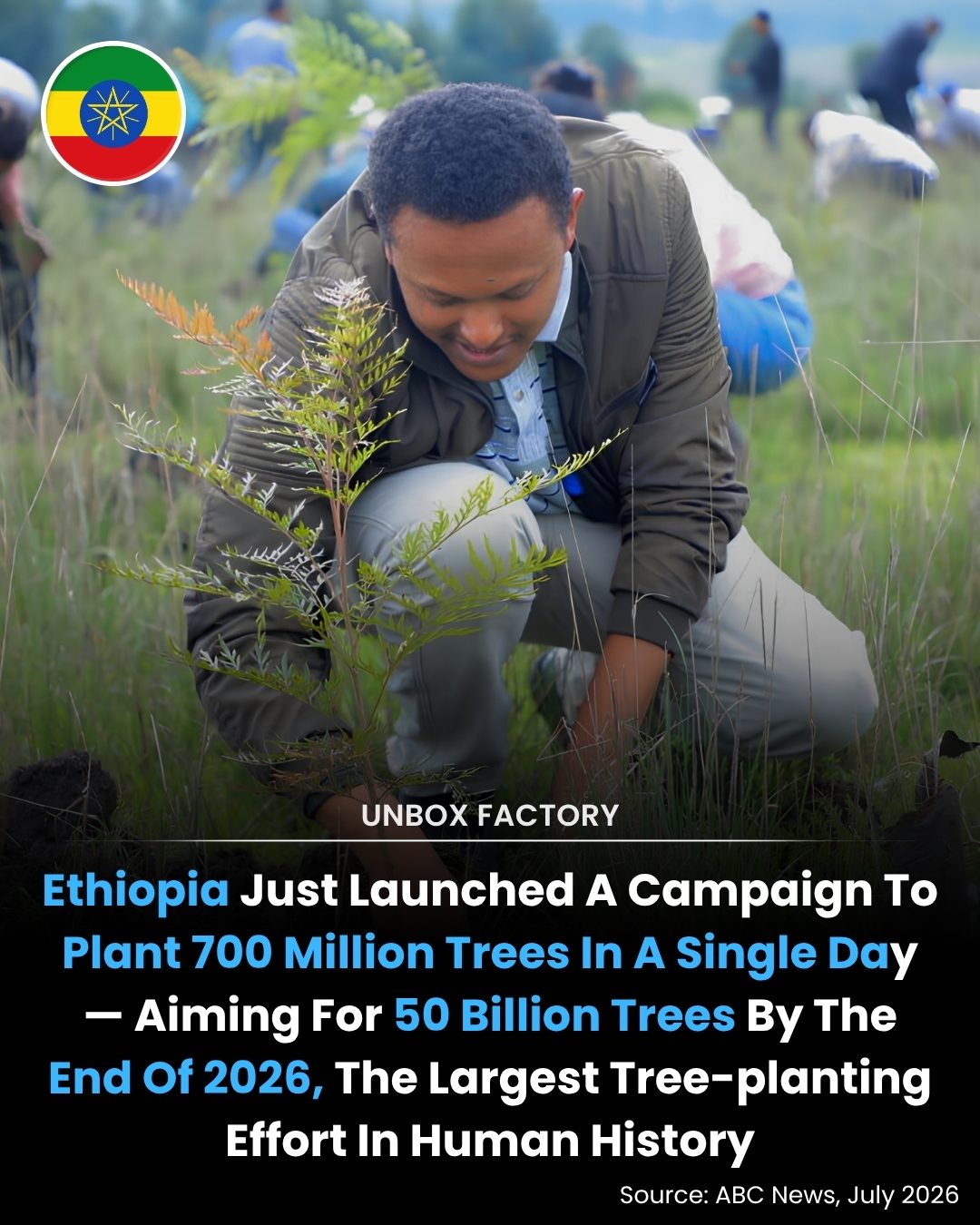 Ethiopia's Record-Breaking 700 Million Tree Planting Drive