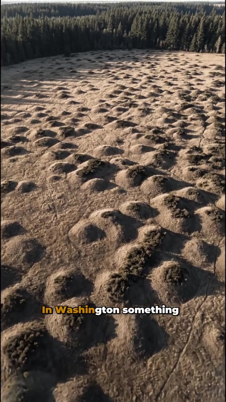 Mima Mounds Mystery: Why They Cover Landscapes
